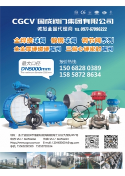 国成阀门集团