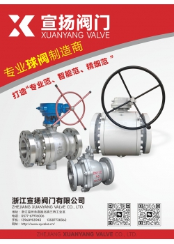 浙江宣扬阀门有限公司
